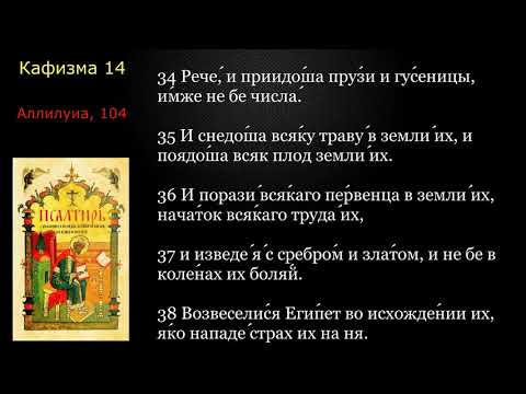 Видео: 14 Псалтирь. Кафизма 14 с текстом
