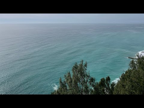 Видео: В Абхазию на выходные