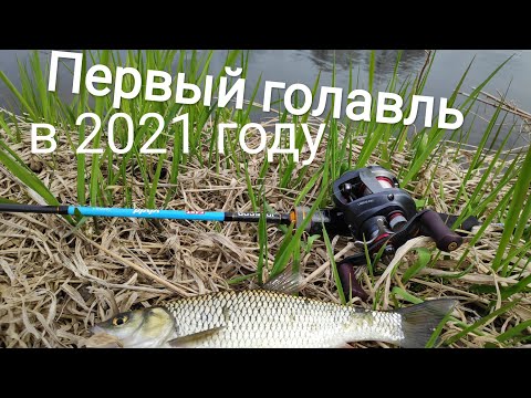 Видео: Первый Голавль 2021 открытие сезона на мульт  тест JOHNCOO Vivid C632UL и Daiwa Pixy PX68