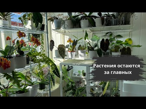 Видео: Уезжаю в отпуск//Как я готовлю коллекцию к моему отсутствию