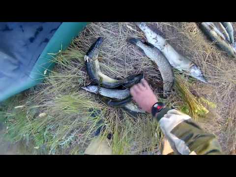 Видео: Щука в июле на колебалки .Бешеный клёв.