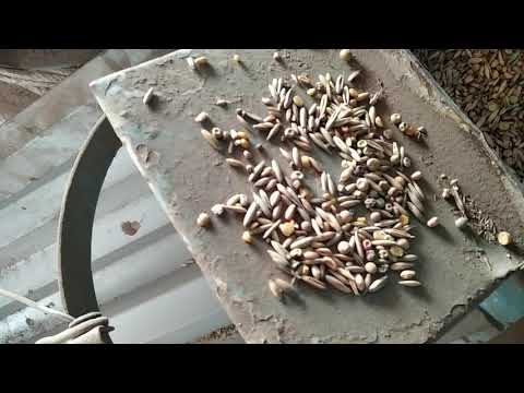 Видео: Петкус К-531, настройка на вико-овес