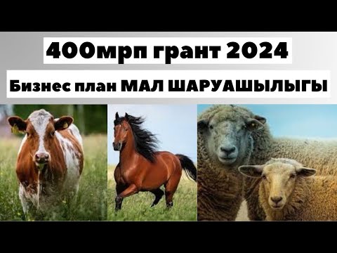 Видео: 400мрп грант 2024 | Бизнес план мал шаруашылығы | 400мрп грант 1 поток | Мал шаруашылығы бизнес план