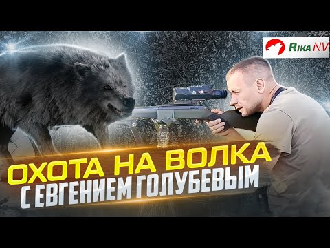Видео: Наказали волков в Беларуси! Охота на хищника с Евгением Голубевым.