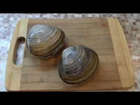 Видео: спизула как ее приготовить