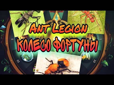 Видео: Ant Legion - Колесо фортуны,маленький секрет / wheel of fortune - a little secret