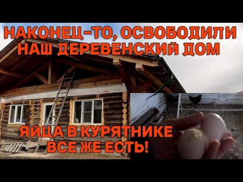 Видео: Как работает наша теплица в Сибири этой осенью. Ремонт стоит, стройка идёт и куры начали нестись!