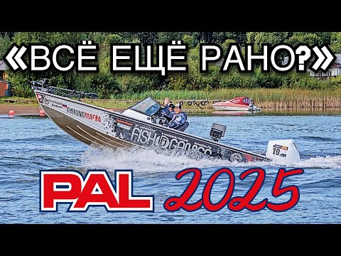 Видео: Сражаемся за ТОП PAL 2025 - Приманки под ПОЛМЕТРА, Контактная БОРЬБА в ДЕТАЛЯХ и ВСЕ другие  события