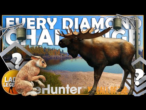 Видео: ШОК, когда КОРМИТЕЛИ ДЕЙСТВИТЕЛЬНО НАХОДЯТ АЛМАЗЫ!!! - Испытание «Каждый бриллиант», Эпизод 32