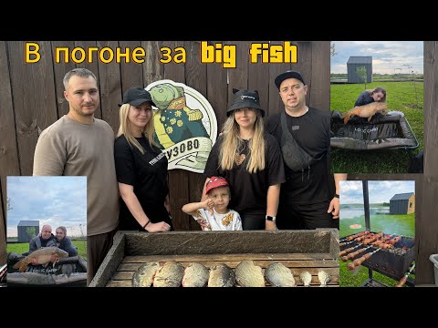 Видео: В погоне за big fish🐳