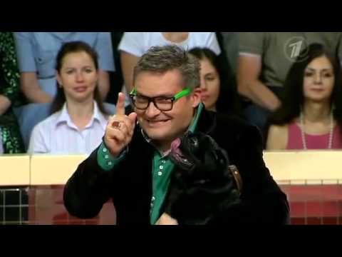 Видео: Модный Приговор 15.07.2014 "Дело о Дине по кличке Собака"
