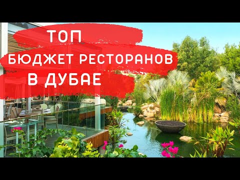 Видео: ДУБАЙ | Где вкусно и красиво поесть не за все деньги мира! ТОП Лучших Бюджетных Ресторанов в ДУБАЕ!