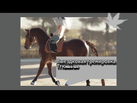 Видео: VLOG \ВЫЕЗДКОВАЯ ТРЕНИРОВКА/ ~RRP STRIDEWAY~