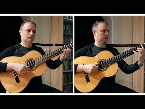 Видео: Мимолётность - Д. Петрачков/ Fleetingness for two six–string guitars and one Russian seven-string