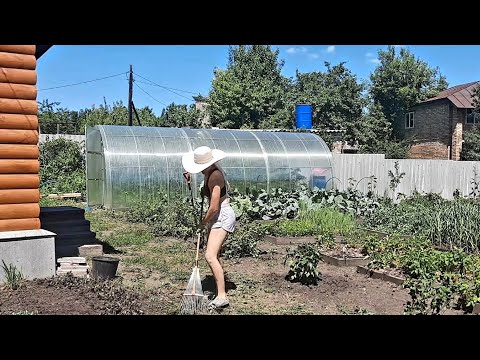 Видео: ДАЧА 8 СОТОК 25 ИЮНЯ/ПРИЕХАЛА МАМА/ СОЗДАЮ НОВЫЙ ЦВЕТНИК