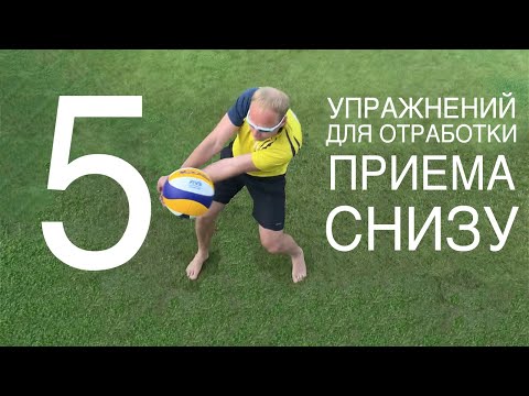 Видео: 5 упражнений для приема мяча снизу