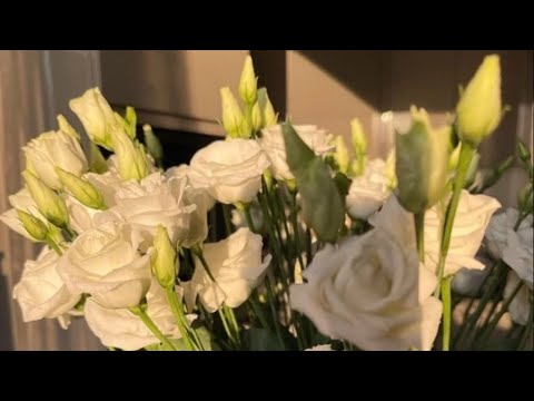 Видео: Виктория Романовна в прямом эфире!Его мысли 💭 чувства ❤️действия 🏃