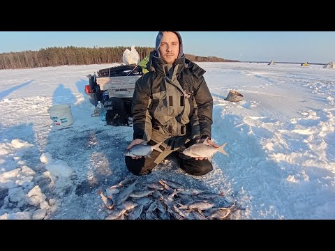Видео: 🔥🔥🔥ОТКРЫТИЕ ЗИМНЕГО СЕЗОНА 2021 . ЛОВЛЯ ЛЕЩА В ПАЛАТКЕ С КОМФОРТОМ . ЛЕЩ , ПЕЧЬ , ОТДЫХ 🐟🐟🐟🔥🔥🔥