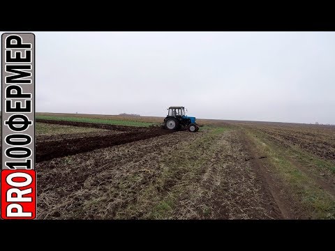 Видео: Осенняя обработка почвы под подсолнечник.  Сроки.  Сидераты. Предшественники.