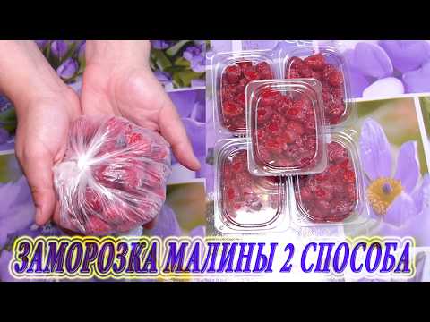 Видео: Заморозка Малины / Малина на зиму, как заморозить малину, заморозка малины на зиму