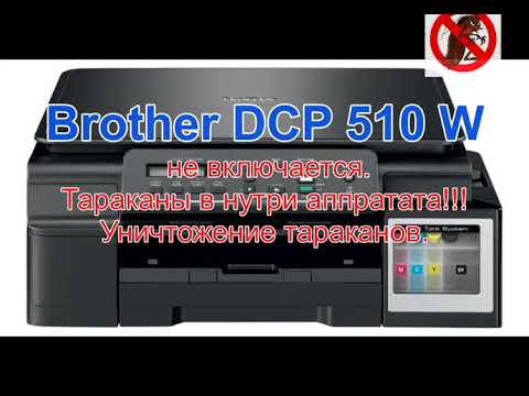 Видео: Hе включается принтер Brother DCP T520.Уничтожение тараканов.