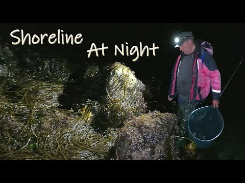 Видео: Ловля креветок сетями ночью