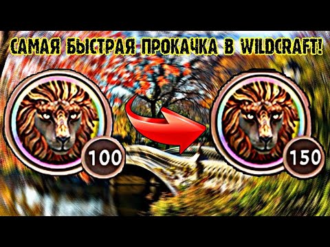 Видео: 🐾WildCraft || 🌺Самый лучший способ прокачки! || 🔥Как прокачаться до 150 лвл за 2 дня?🔥