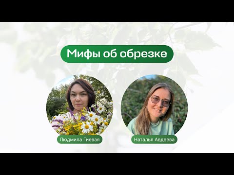 Видео: Мифы об обрезке | Запись прямого эфира школы «Умный садовник»