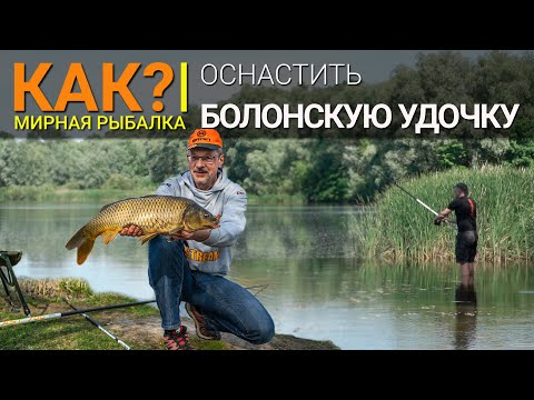 Видео: Как оснастить болонскую удочку?