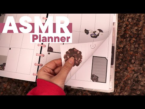 Видео: АСМР Оформляем ежедневник на март 2023. Читаю | ASMR My planer for March. Triggers.Flipping