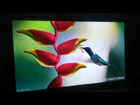 Видео: плазменный телевизор Pioneer Kuro LX6090H. потрясающий контраст во время ночного просмотра.