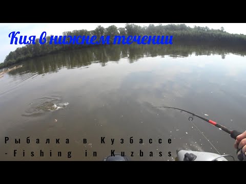 Видео: Рыбачим на Кие и реке Четь в нижнем течении.