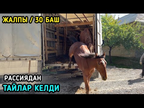 Видео: ЫССЫК КАЙНАП ТУРГАН ЖЕРИНЕН ТҮШҮРДҮК @Aalamkabar97