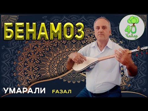 Видео: Бенамозон /Умарали /Fазал