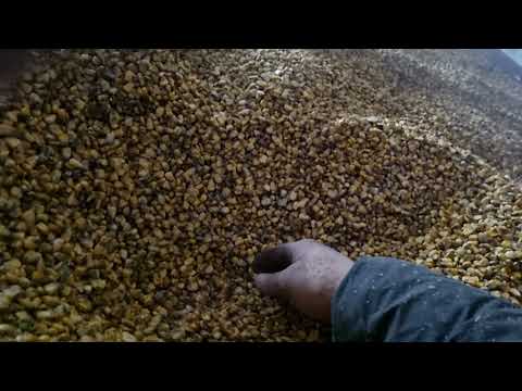 Видео: Мобільна зерносушарка на 4 тони за 1000$$$