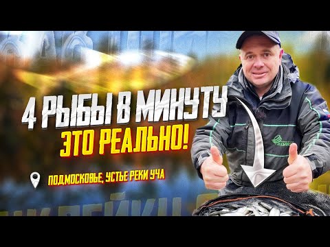 Видео: ОСЕННЯЯ ЛОВЛЯ УКЛЕЙКИ, секреты скорости!