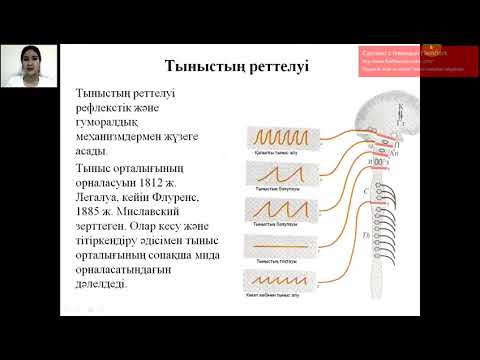 Видео: Тыныс алу физиологиясы