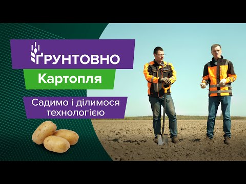 Видео: Посадка картоплі: ґрунт, гребені, густота і фракція, захист - все для гарного врожаю!