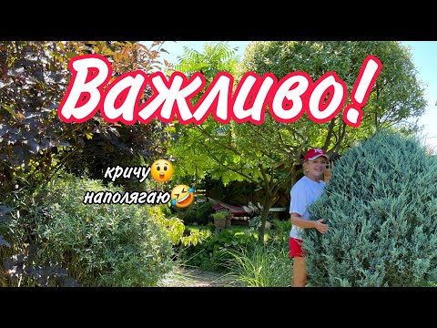 Видео: Це ВІДЕО на 1 МІЛЬОН переглядів.