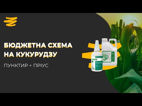 Видео: 🌽 ГЕРБІЦИДИ НА КУКУРУДЗУ 2021. ПУНКТИР + ПРІУС.