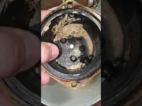 Видео: Necta korinto разборка и чистка бойлера