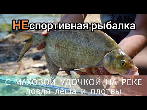 Видео: НЕспортивная рыбалка. 1-я серия. Ловля леща и плотвы на маховую удочку