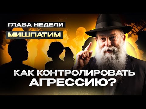 Видео: Когда и сколько нужно возмещать ущерб? Рав. Шмуэль Каминецкий о недельной главе Мишпатим | Менора