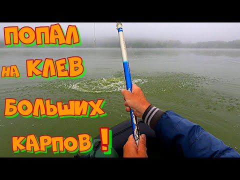 Видео: ПОПАЛ на РАЗДАЧУ ТРОФЕЙНОГО КАРПА ! Рыбалка на УДОЧКУ с БОКОВЫМ КИВКОМ .