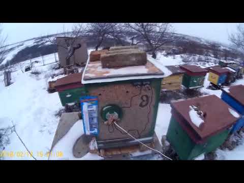 Видео: Эксперимент ДНО СЕТКА против ГЛУХОГО ДНА в плане сохранения тепла