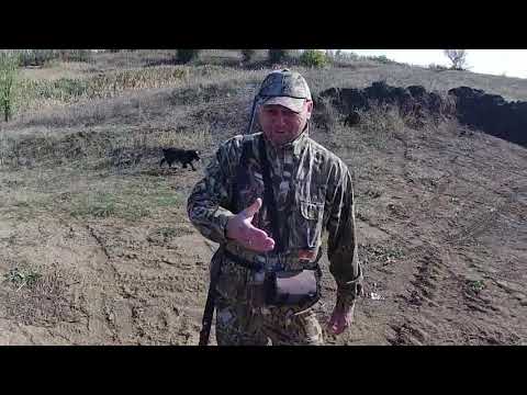 Видео: Охота на утку