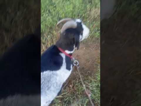 Видео: 16 октября 2025 г.