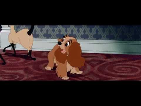 Видео: Песня сиамских кошек из мультфильма "Леди и бродяга"
