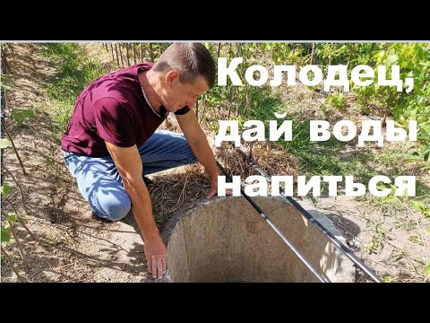 Видео: Какой водой можно поливать.