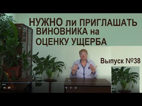 Видео: Нужно ли приглашать виновника на оценку ущерба Выпуск №38